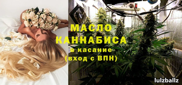 индика Абинск
