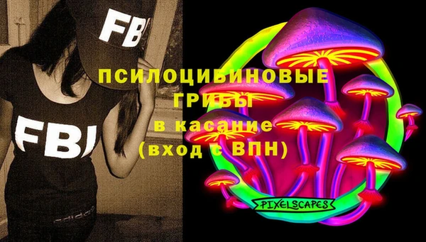 индика Абинск