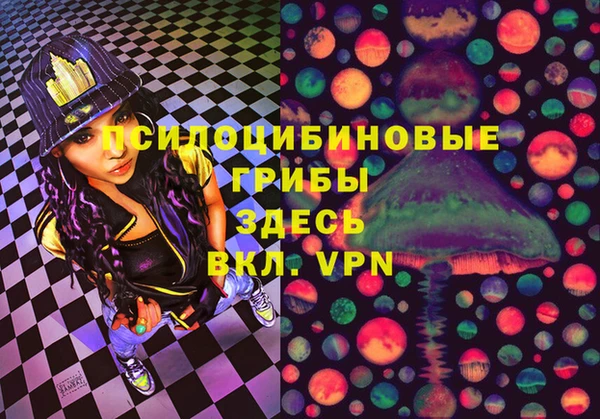 амф Абаза