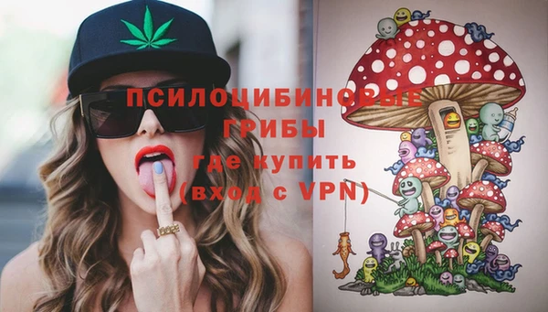 ALPHA PVP Нея