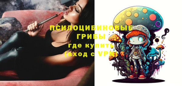амф Абаза